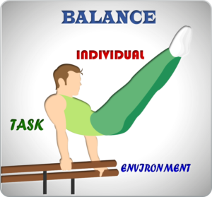 Dynamic Balance Evaluation