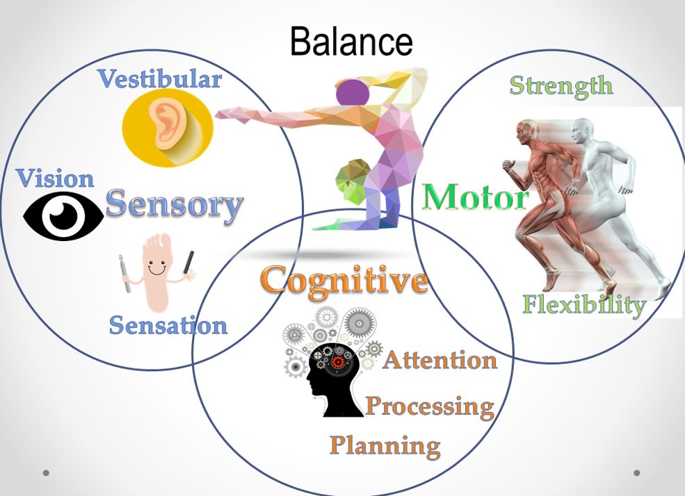 Multifactorial Balance Dysfunction